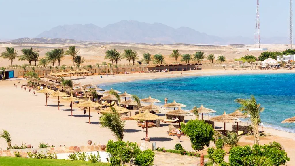 الفندق كورال صن بيتش - سفاجا